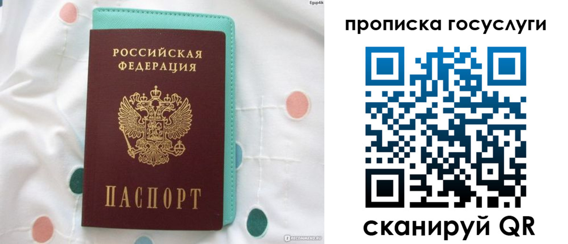 прописка поиск в Гусеве